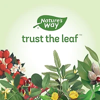 Nature's Way Vitex Capsules