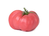 Tomato, Pink