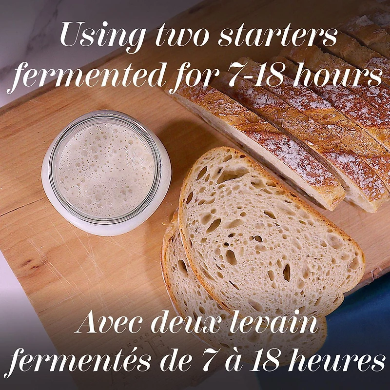 ACE Bakery® Bocata Ronda Italian Artisan Rolls, 8 pieces, 640 g total