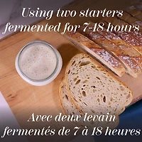 ACE Bakery® Bocata Ronda Italian Artisan Rolls, 8 pieces, 640 g total