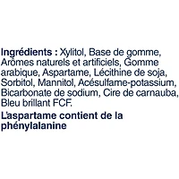 Gomme tendre Excel Menthe poivrée, sans sucre, bouteille, 40 morceaux