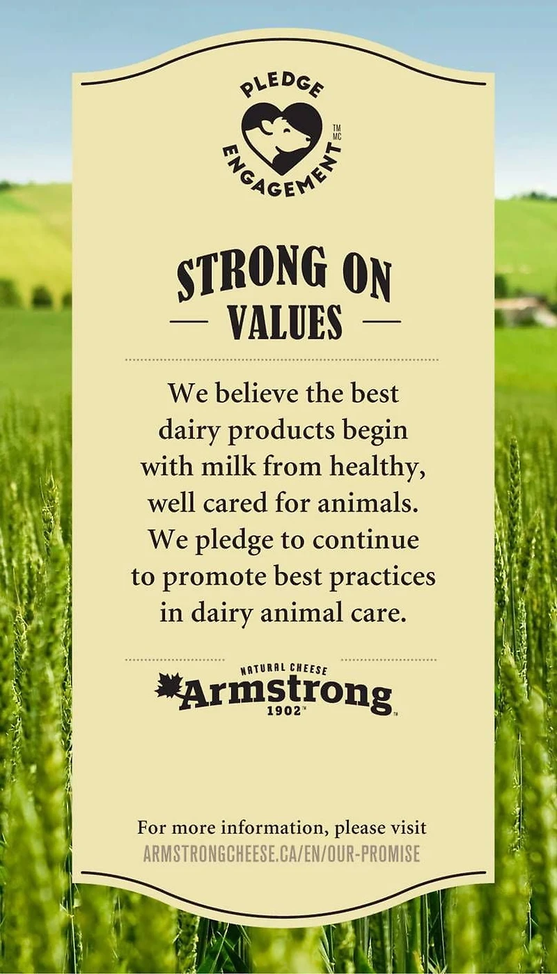 Armstrong Garlic & Herb Cheddar Cheese