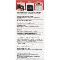 Application facile au peigne Just For Men Brun pâle A-25 1 pièce