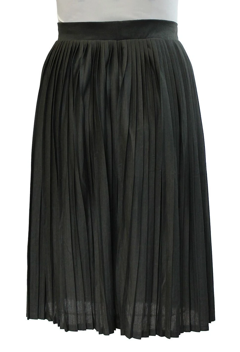 Style Therapy Pleted Skirt