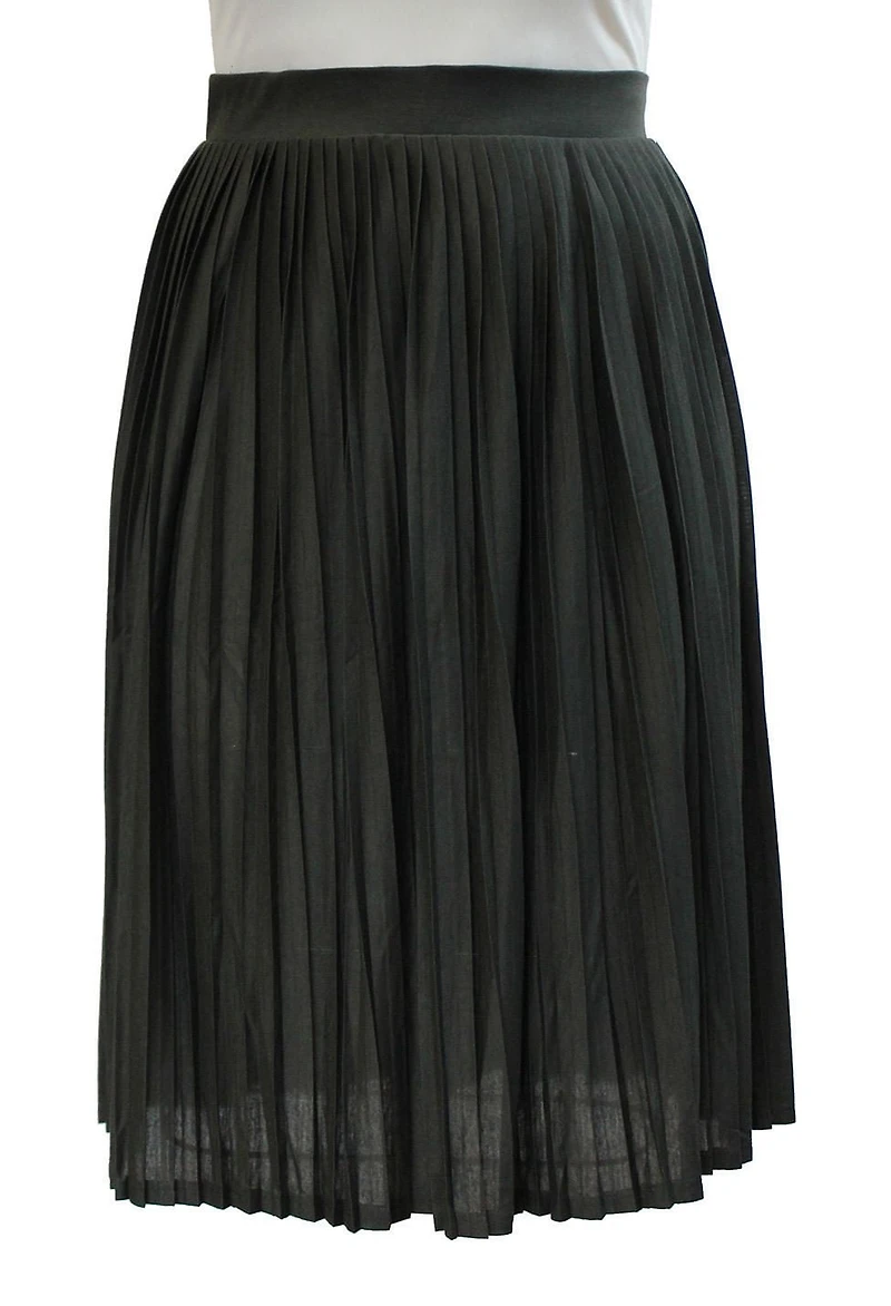 Style Therapy Pleted Skirt