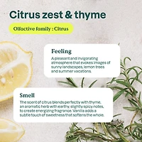 ATTITUDE home+ technology,  All Purpose Cleaner Disinfectant 99.99%, Thyme & Citrus, 800 mL