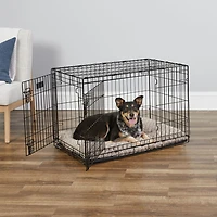 Midwest iCrate Caisse Pliante pour Chien à Double Porte avec Panneau de Séparation Caisse pour Chien 2 portes