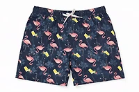 Men's Under Disguise navy swim shorts