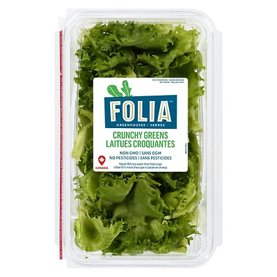 FOLIA CRUNCHY GREENS 227G LETTUCE / SALAD, Local / Quebec. No pesticides