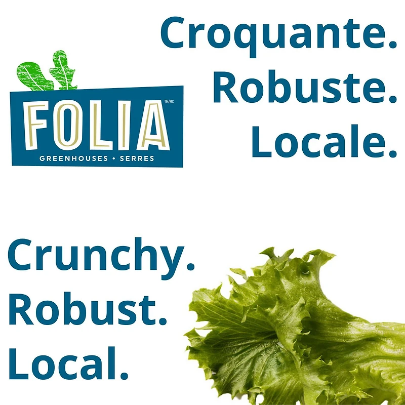FOLIA CRUNCHY GREENS 227G LETTUCE / SALAD, Local / Quebec. No pesticides