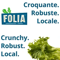 FOLIA CRUNCHY GREENS 227G LETTUCE / SALAD, Local / Quebec. No pesticides