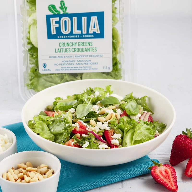 FOLIA CRUNCHY GREENS 227G LETTUCE / SALAD, Local / Quebec. No pesticides