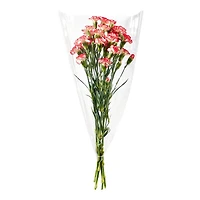 Mini Carnation Fresh Flowers, 50 cm