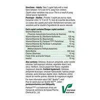 Jamieson Vitamin B100 Timed Release Caplets, 100 mg, 100 Count, 60 Capsules