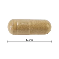 Jamieson capsules d'ashwagandha, 6000 mg, végétarienne, 60 capsules