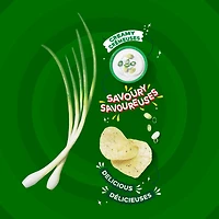 Lay's Croustilles assaisonnées Saveur Crème sure et oignon 66g