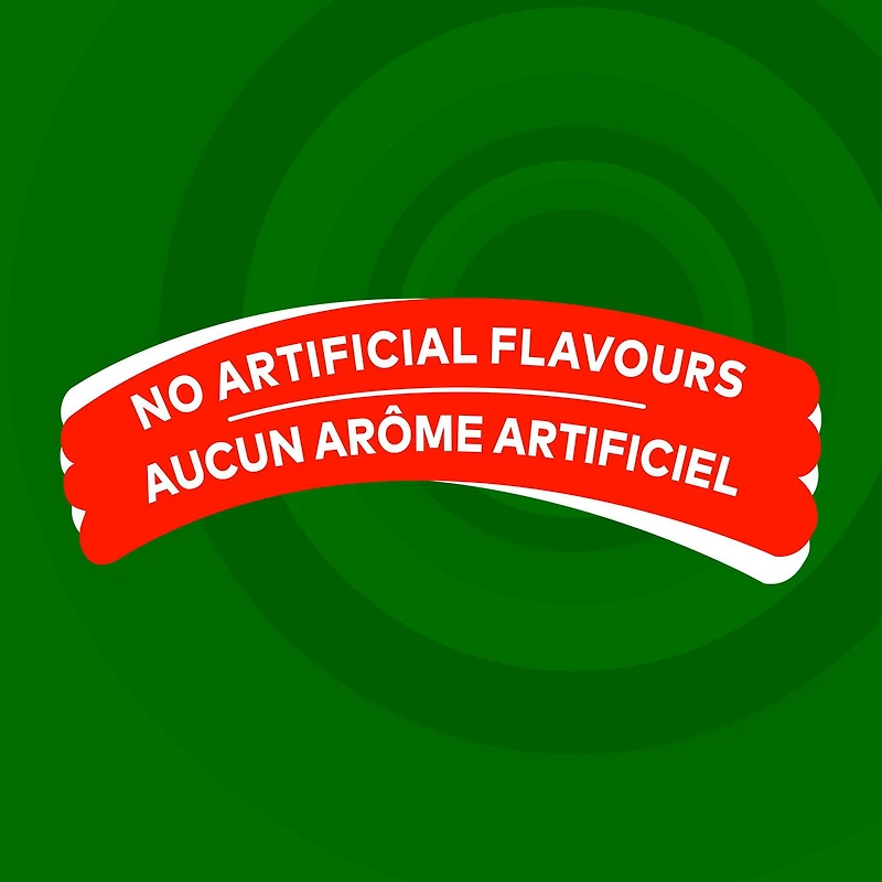 Lay's Croustilles assaisonnées Saveur Crème sure et oignon 66g