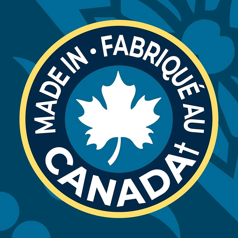 Lay’s croustilles assaisonnées Poulet à la jerk