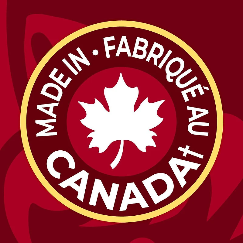 Lay's Turkey Dinner Flavoured Potato Chips