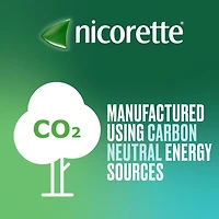 Nicorette Gum, Nicotine 4mg, Fresh Fruit Flavour, Quit Smoking Aid and Smoking Cessation Aid, 30 pieces