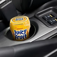 JUICY FRUIT, Fruits, gomme à mâcher, 60 morceaux, 1 bouteille 1 bouteille, 60 morceaux