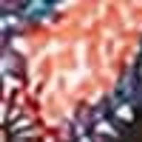 DV Sleeveless floral maxi dress with V-neck and a tiered ruffled hem