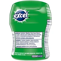 EXCEL, Spearmint Flavoured Sugar Free Chewing Gum, 60 Pieces, 1 Bottle, 1 Bottle, 60 Pellets