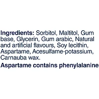 EXCEL, Spearmint Flavoured Sugar Free Chewing Gum, 60 Pieces, 1 Bottle, 1 Bottle, 60 Pellets