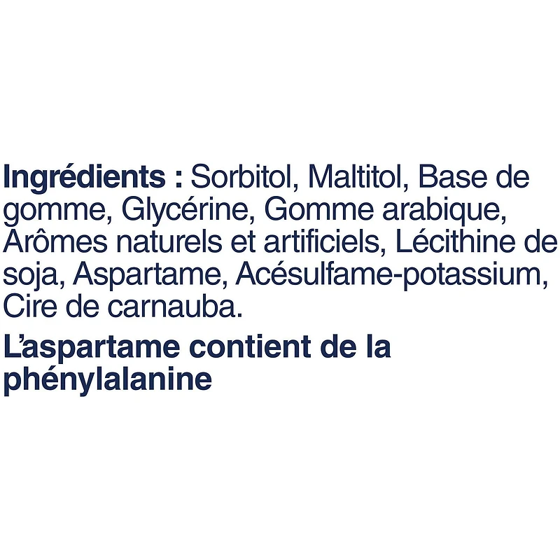 EXCEL, Menthe verte, gomme à mâcher sans sucre, 60 morc., 1 bouteille 1 bouteille, 60 morceaux