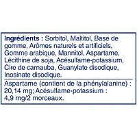 JUICY FRUIT, Fruits, gomme à mâcher, 60 morceaux, 1 bouteille 1 bouteille, 60 morceaux