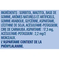 EXCEL, Winterfresh Flavoured Sugar Free Chewing Gum, 12 Pieces, 1 Pack, 4 Packs, 12 Pellets/Pack