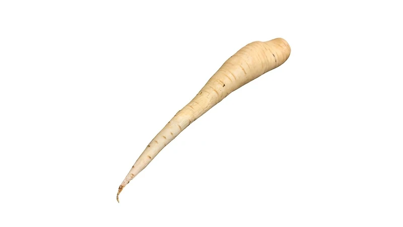Parsnip