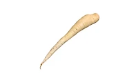 Parsnip