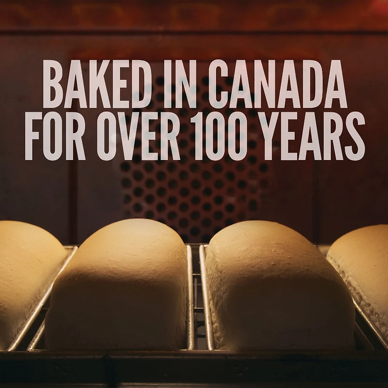 Dempster's® Original 100% Whole Wheat Hot Dog Buns