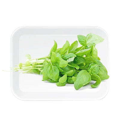 Fresh Basil, 1 Tray, 0.05 - 0.20 KG