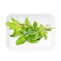 Menthe poivrée, 1 paquet, 0.05 - 0.20 KG