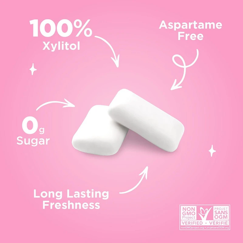 PUR Gum Chewing Gum Sans Sucre au Xylitol, Arôme Naturel de Bubblegum