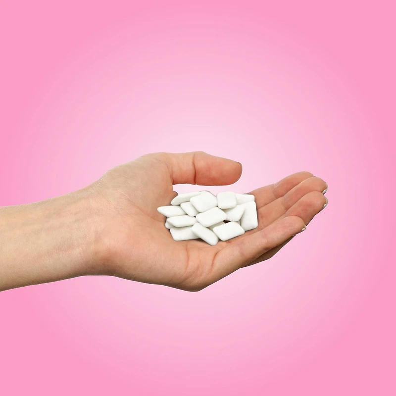 PUR Gum, Aspartame Free, Sugar Free & 100% Xylitol, Bubblegum Chewing Gum
