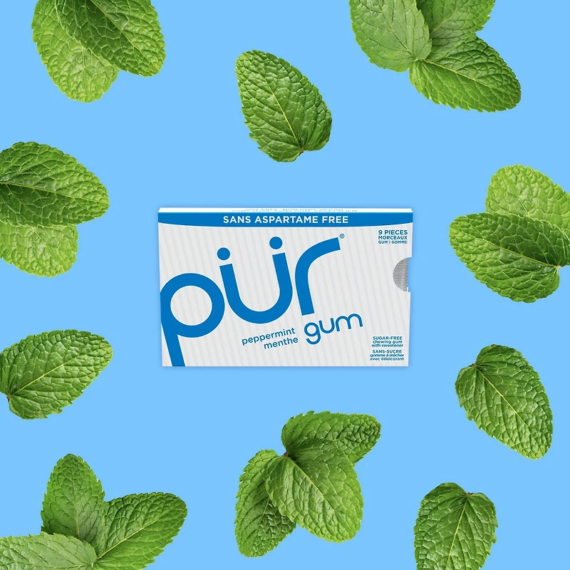 PUR Gum, Aspartame Free, Sugar Free & 100% Xylitol, Peppermint Chewing Gum, 9 Pieces, Pack of 1