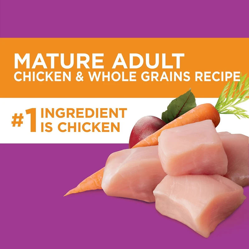 Nourriture sèche pour chiens âgés IAMS Recette avec poulet et grains entiers 6,8-13,2 kg