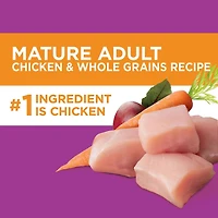 Nourriture sèche pour chiens âgés IAMS Recette avec poulet et grains entiers 6,8-13,2 kg