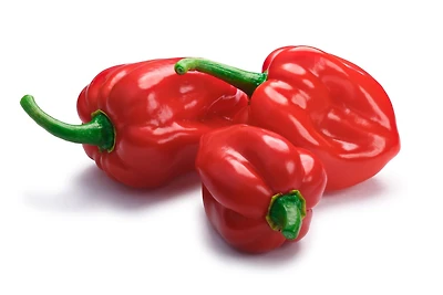 Piment, Scorpion