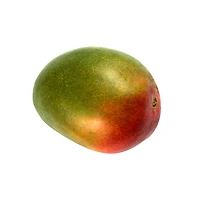 Mango Kent