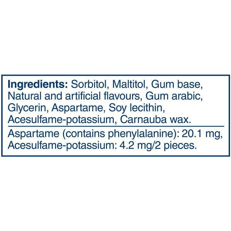 EXCEL, Menthe polaire, gomme à mâcher sans sucre, 60 morc., 1 bout. 1 bouteille, 60 morceaux