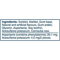 EXCEL, Menthe polaire, gomme à mâcher sans sucre, 60 morc., 1 bout. 1 bouteille, 60 morceaux