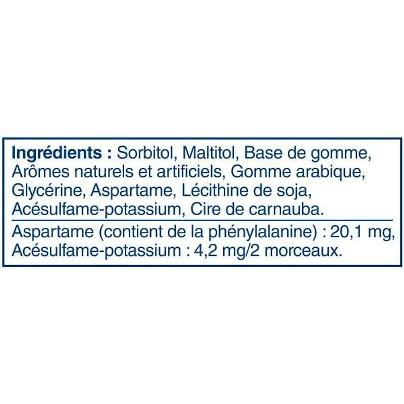 EXCEL, Polar Ice Flavoured Sugar Free Chewing Gum, 60 Pieces, 1 Bottle, 1 Bottle, 60 Pellets