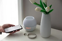 SOUNDRISE WAKE LAMP, Alarm with simulated natural sunlight