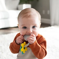 Dr. Brown’s® Learning Loop Silicone Ring Teether, Fox, 3 months+