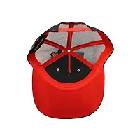 Men's Pokemon Pokeball Basic Snapback