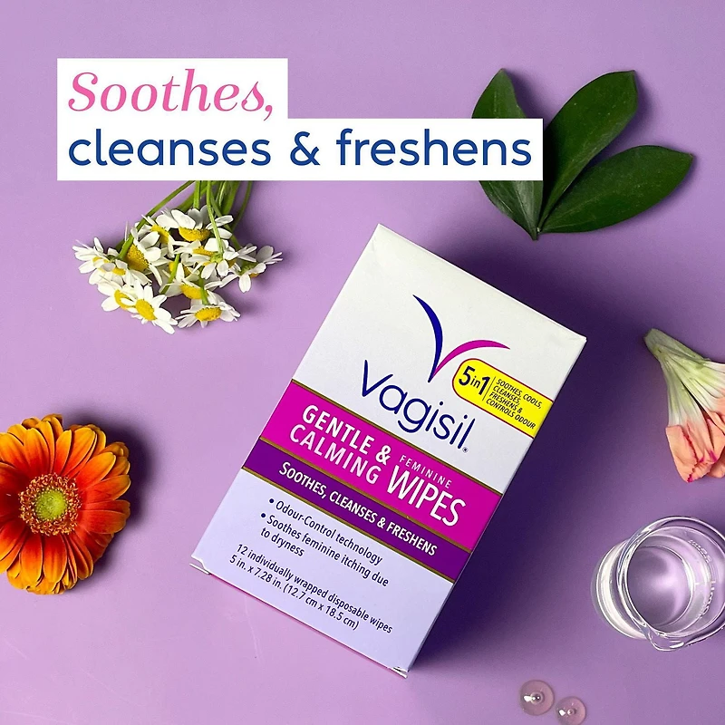 Lingettes Féminines Douces Et Apaisantes Vagisil® 12 lingettes jetables